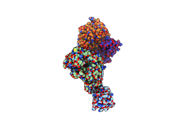 2Z2M image