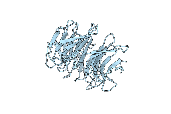 2Z2N image