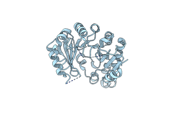 2Z2U image