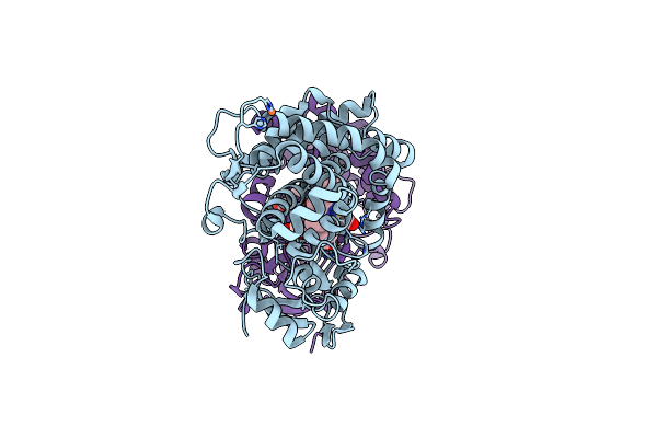 2Z36 image