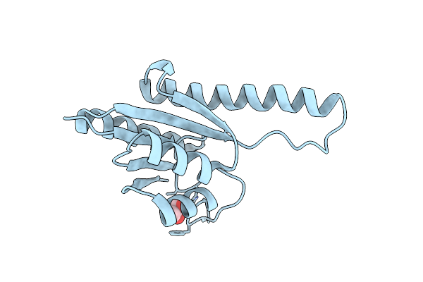 2Z3V image