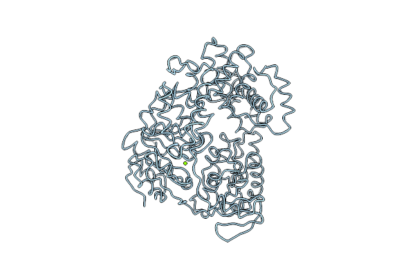 2Z41 image