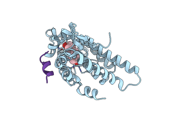 2Z4J image