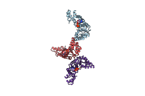 2Z4R image