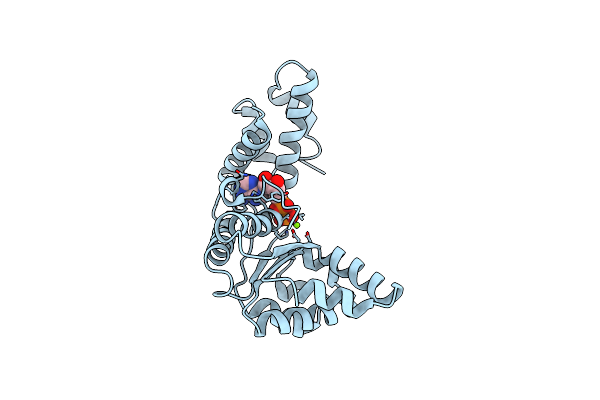 2Z4S image