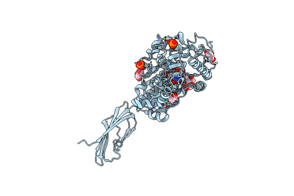 2Z4T image