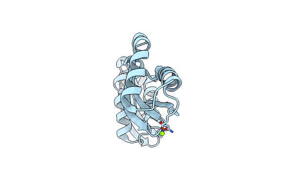 2Z51 image