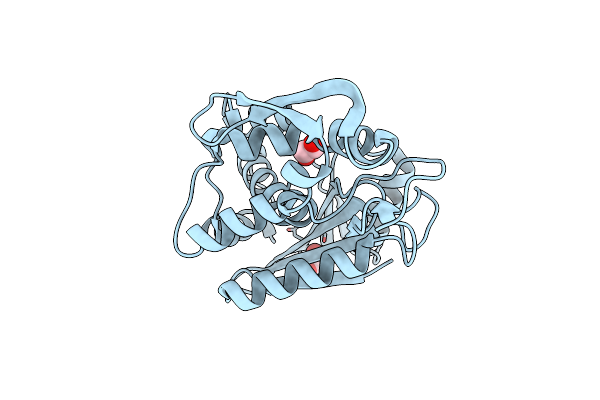 2Z53 image