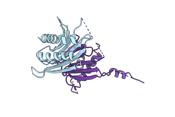 2Z5B image