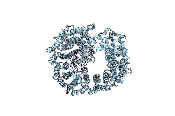2Z5N image