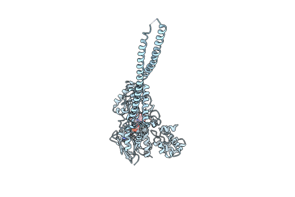 2Z5U image