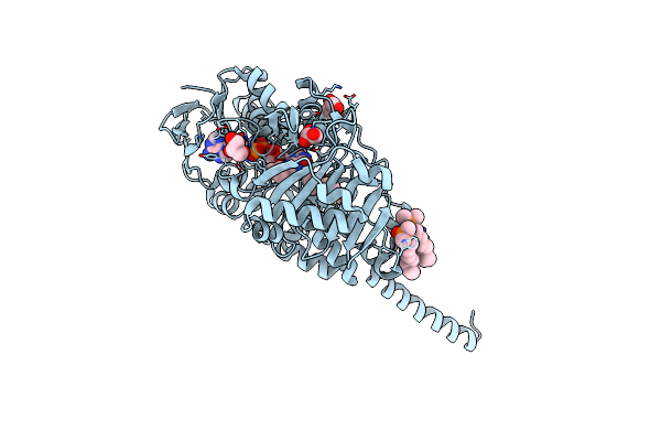 2Z5X image