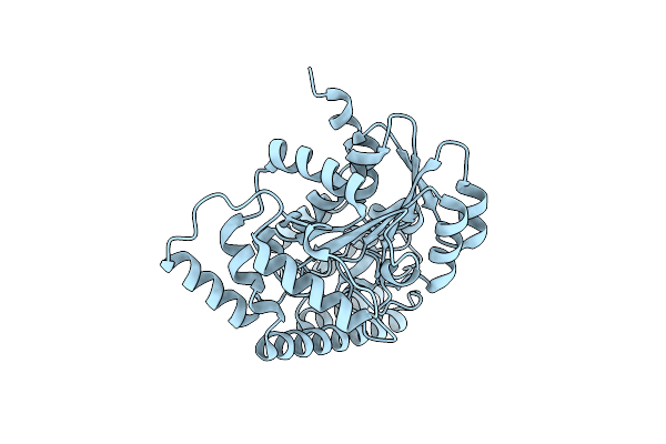 2Z61 image