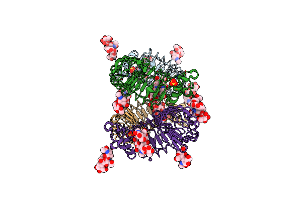 2Z66 image