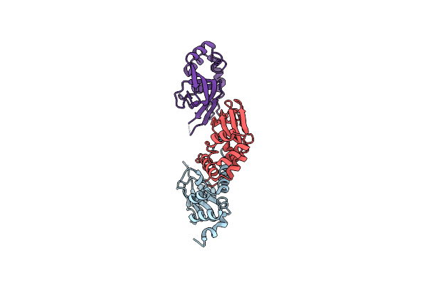2Z69 image