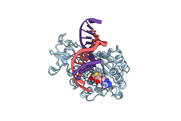 2Z6A image