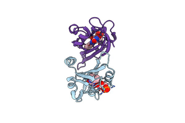 2Z6D image