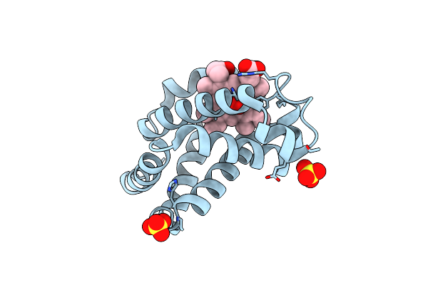 2Z6T image