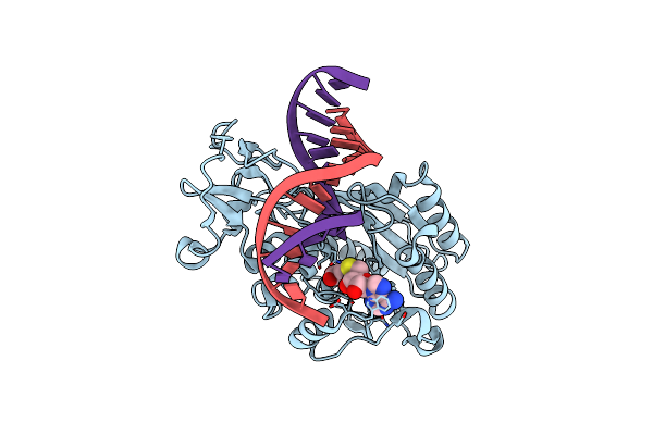 2Z6U image