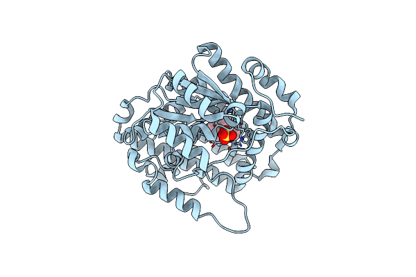 2Z6V image