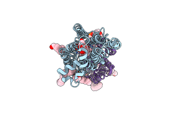 2Z73 image
