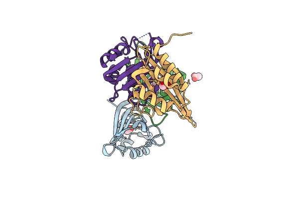 2Z7A image