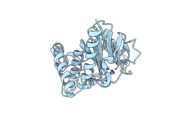2Z7B image
