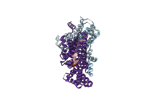 2Z7I image