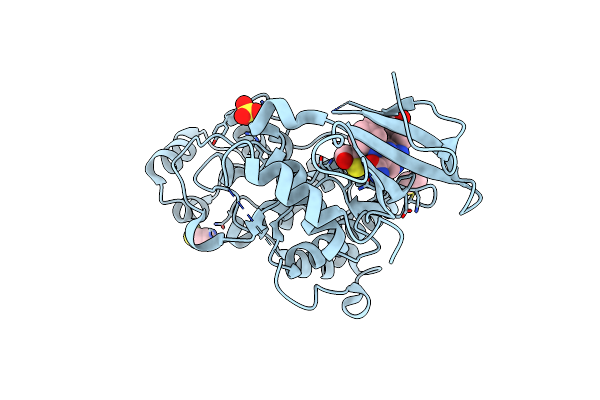 2Z7L image