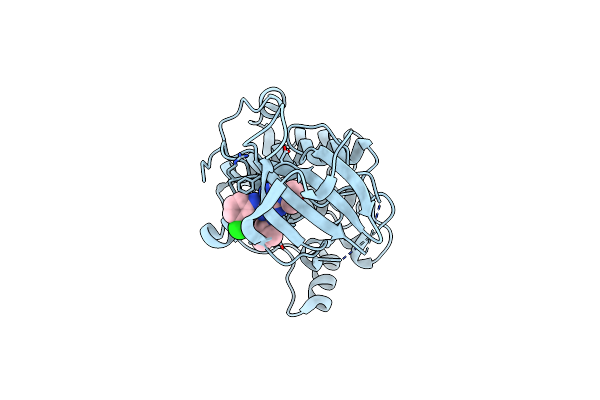 2Z7S image