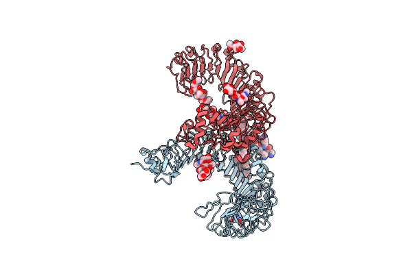 2Z7X image