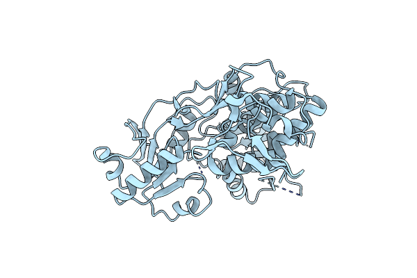 2Z83 image