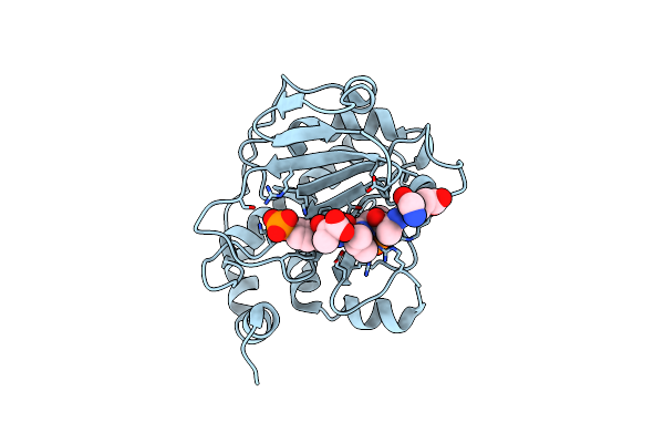 2Z8P image