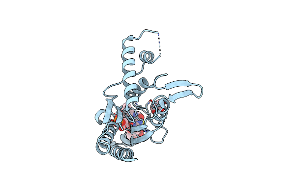 2Z9C image
