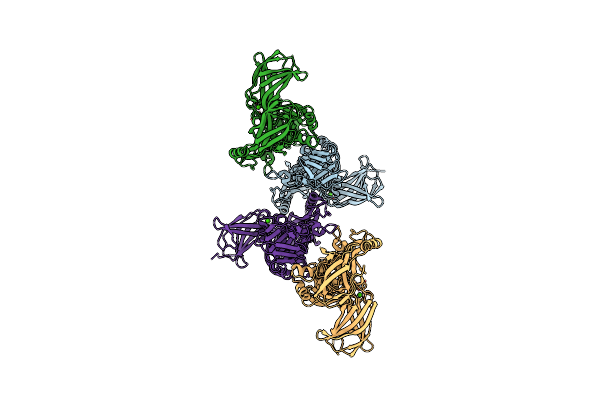 2ZAG image