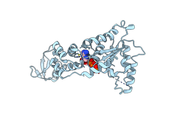 2ZAN image