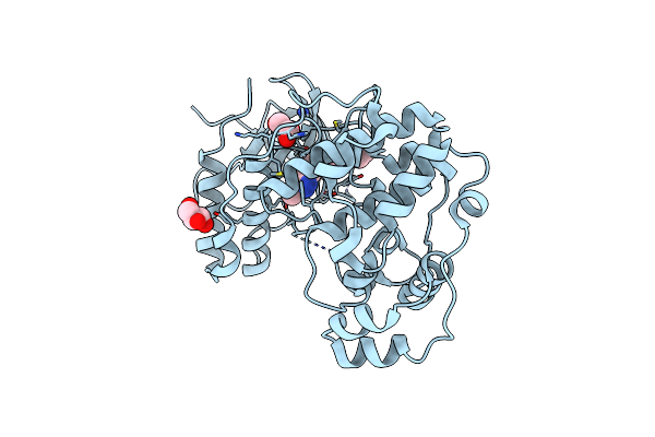 2ZB1 image