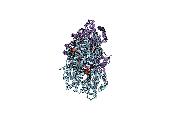 2ZB2 image