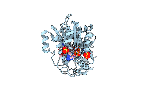 2ZB8 image