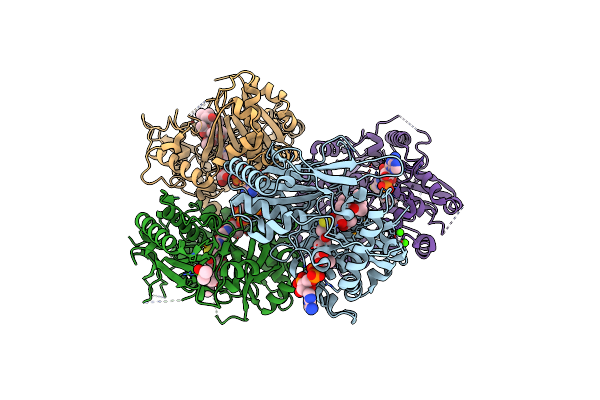 2ZBA image