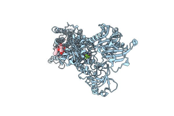 2ZBF image