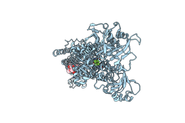 2ZBG image