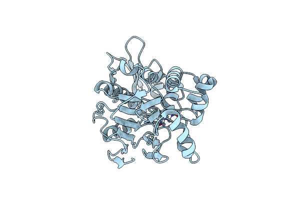 2ZBM image