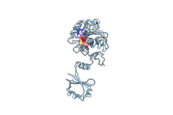 2ZBP image