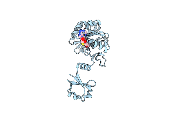 2ZBQ image