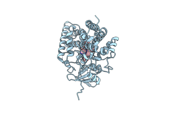 2ZBX image