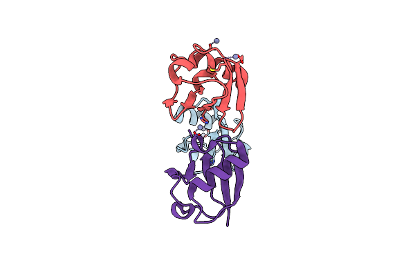 2ZCC image