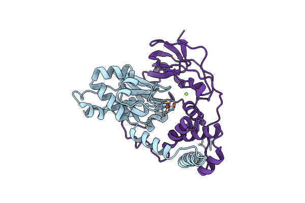 2ZCF image