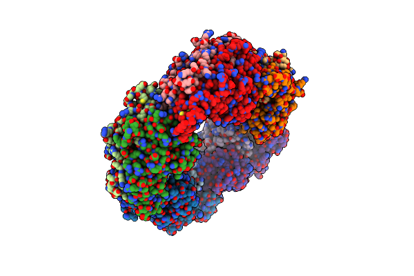 2ZCT image