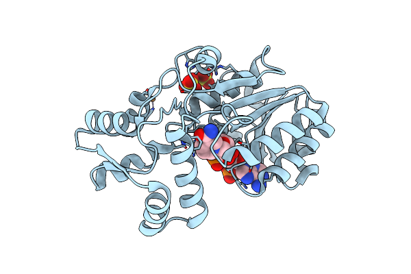 2ZCV image